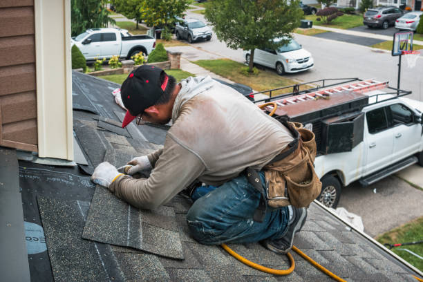 Professional Gutter Repair And Installation technician working in Willis, TX